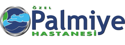 ÖZEL PALMİYE HASTANESİ - KVKK Entegrasyonu, KVKK Uyumluluk Testi, Sızma - Penetrasyon Testi ve Siber Güvenlik Uygulamaları hizmetleri